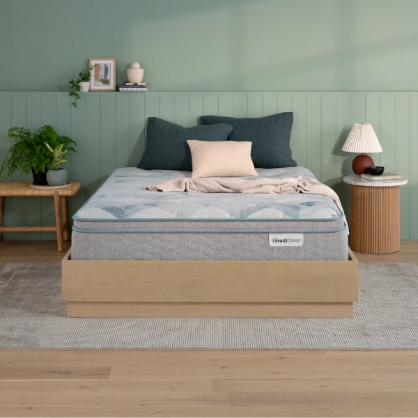 Queen Mattresses