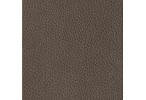 ash swatch  