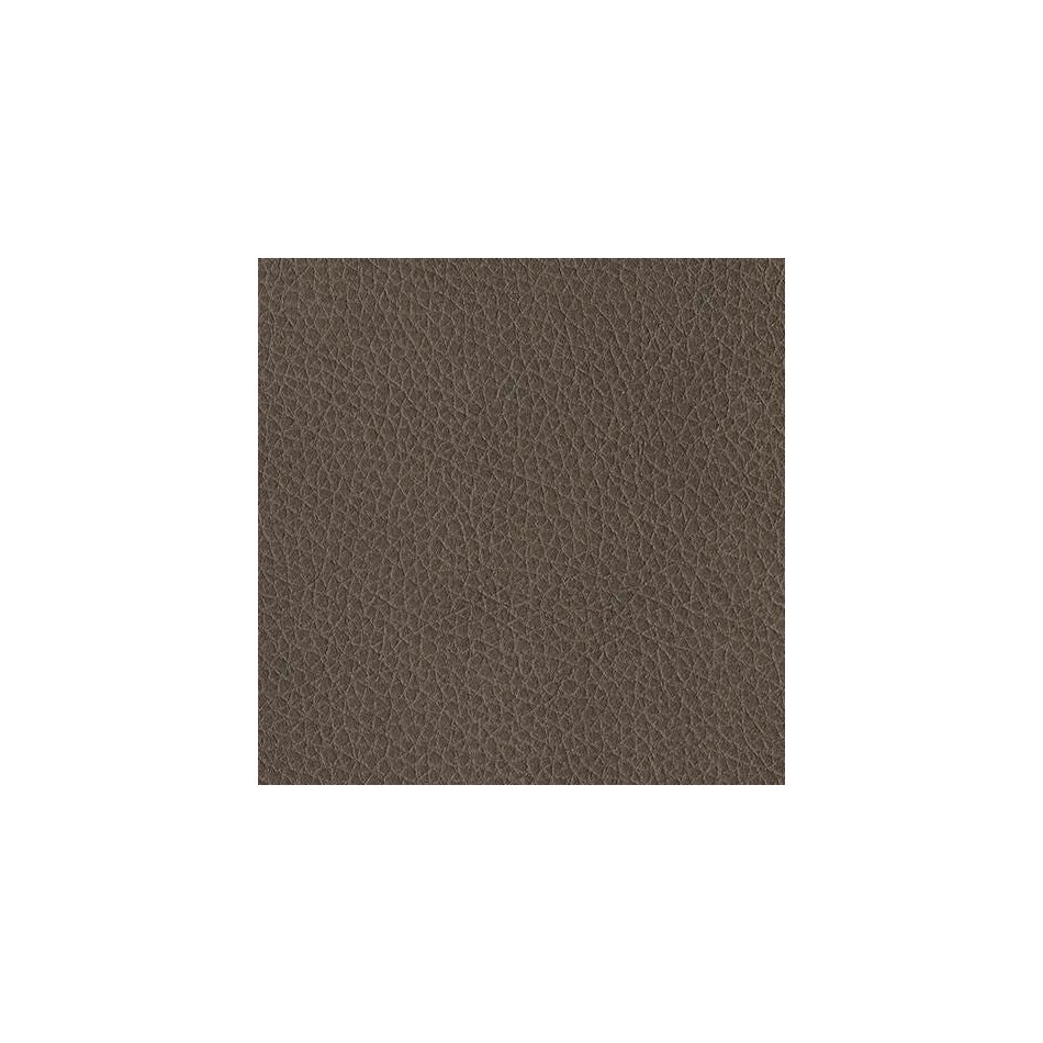 ash swatch  