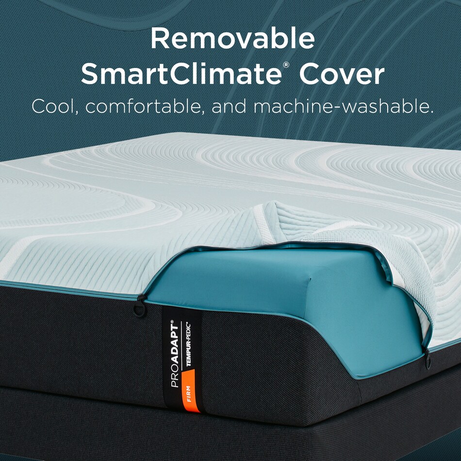 bedding   