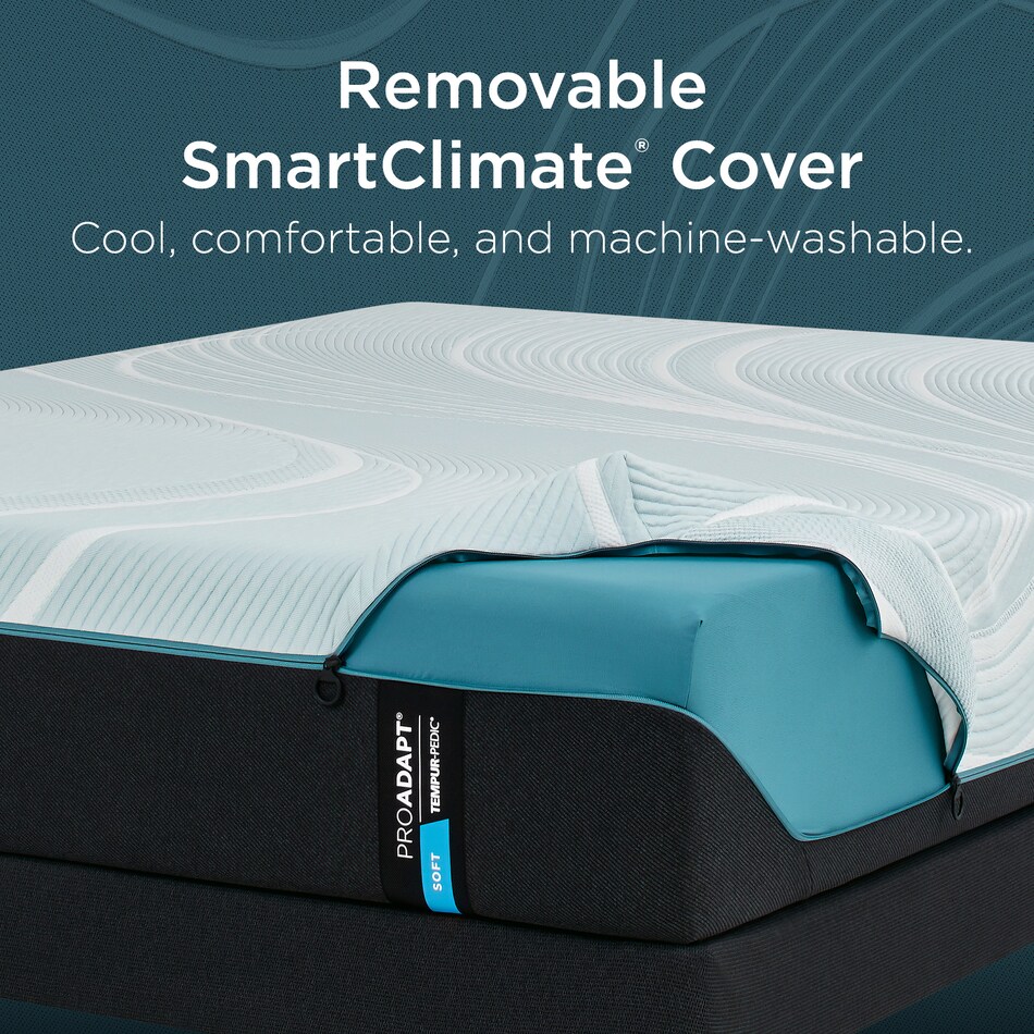 bedding   