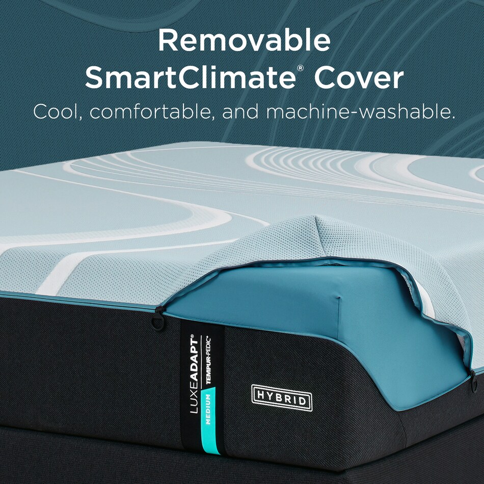 bedding   