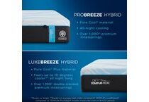 bedding   