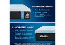 bedding   