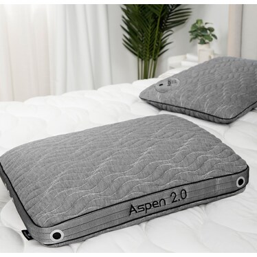 ASPEN 1.0 STOMACH (4/CS)