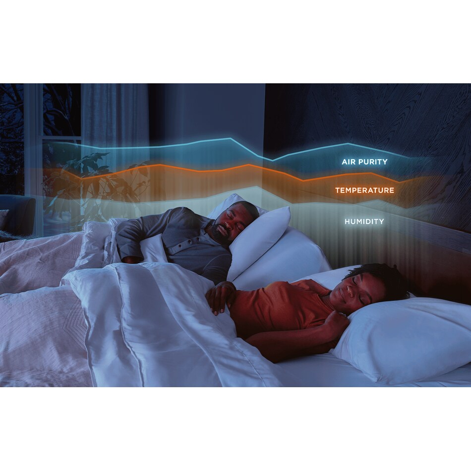 black bedding   