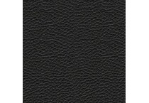 black swatch  