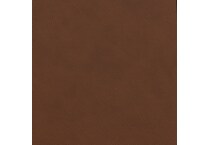 caramel swatch  