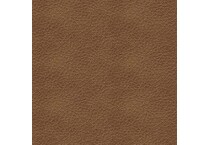 caramel swatch  