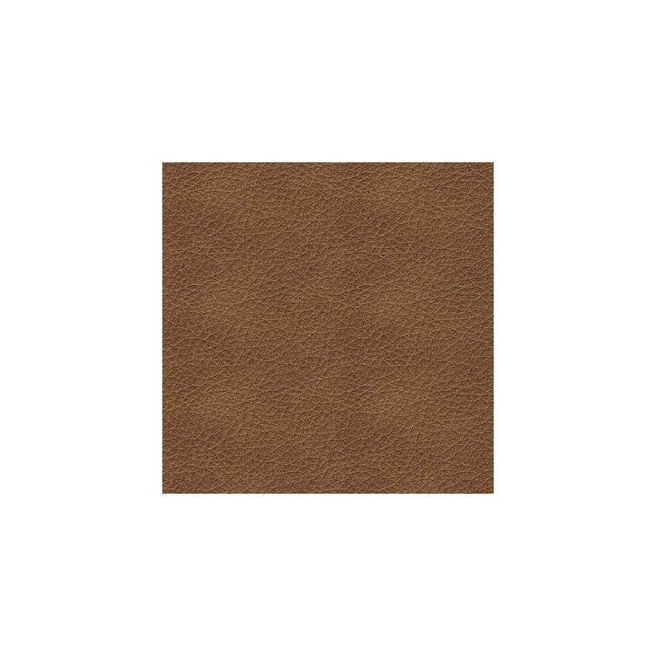 caramel swatch  