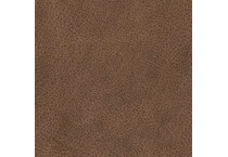 caramel swatch  