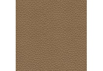 caramel swatch  