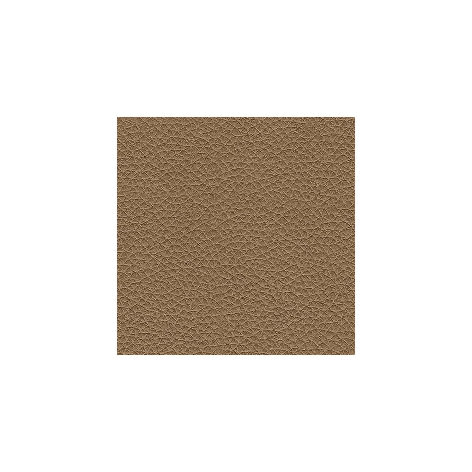 caramel swatch  