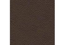 dark brown swatch  