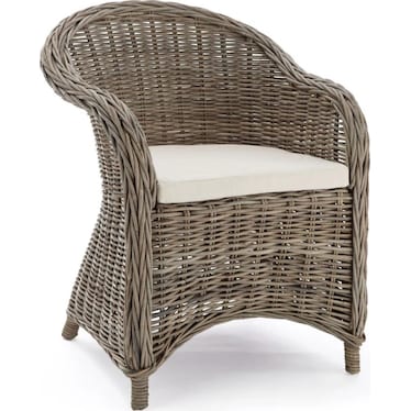 Arm Chair