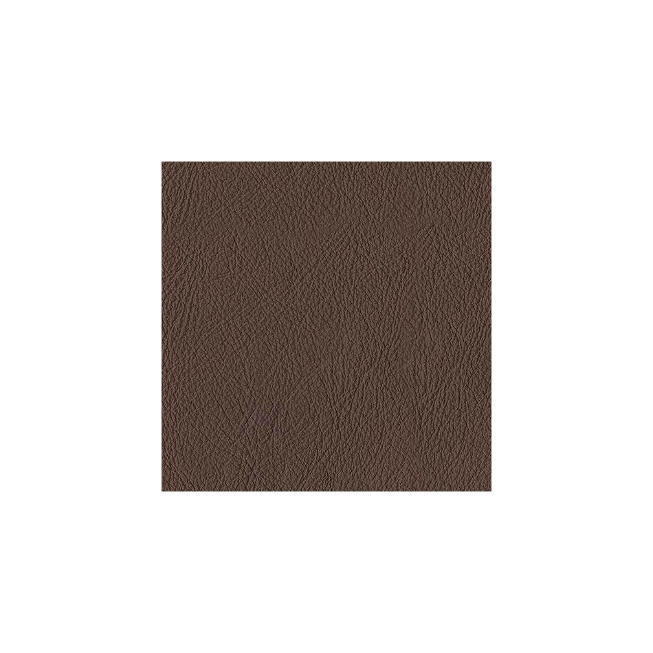 espresso swatch  