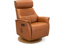 leather recliner   