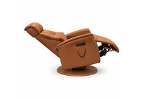 leather recliner   