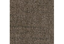 nutmeg swatch  