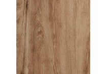tan brown swatch  