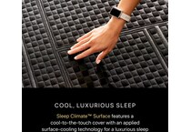 top color: black side color: black accent color: gray bedding   