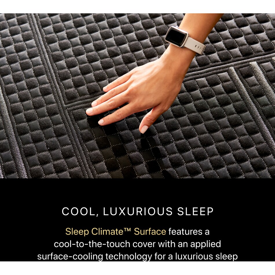 top color: black side color: black accent color: gray bedding   