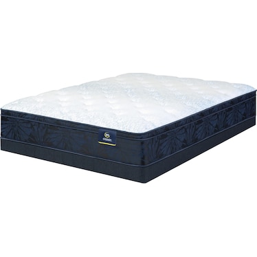 Classic Dorian 12.5" Plush Euro Top