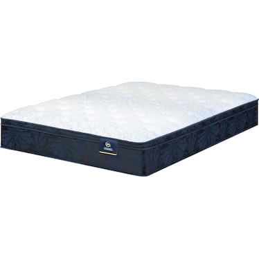 Classic Dorian 12.5" Plush Euro Top