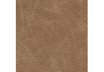 tumbleweed swatch  